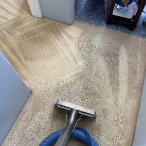 challenging job - carpet cleaning