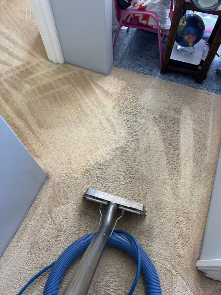 challenging job - carpet cleaning