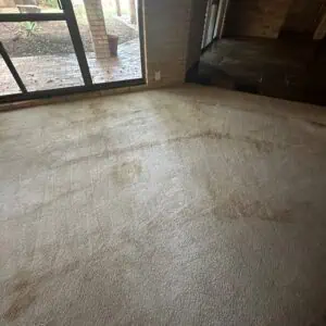 carpet cleaning